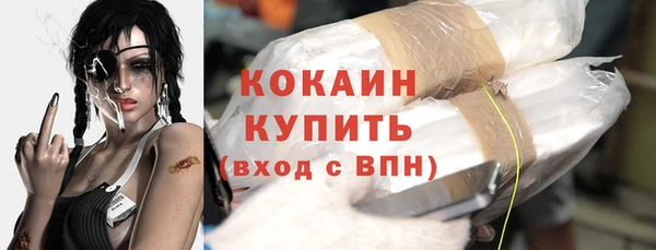 амф Няндома