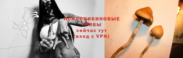 ешки Балабаново