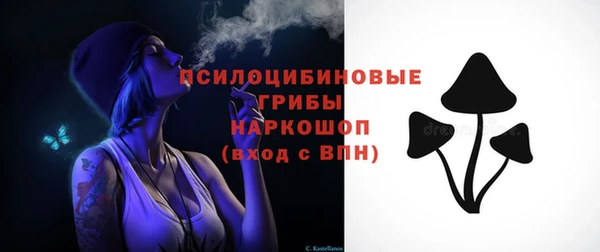 ГАЛЛЮЦИНОГЕННЫЕ ГРИБЫ Верхний Тагил