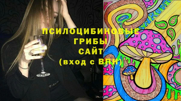 ГАЛЛЮЦИНОГЕННЫЕ ГРИБЫ Верхнеуральск