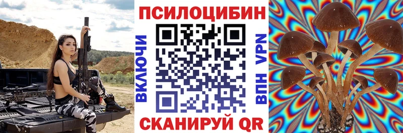 как найти наркотики  ссылка на мегу рабочий сайт  Галлюциногенные грибы ЛСД  Сосновоборск 